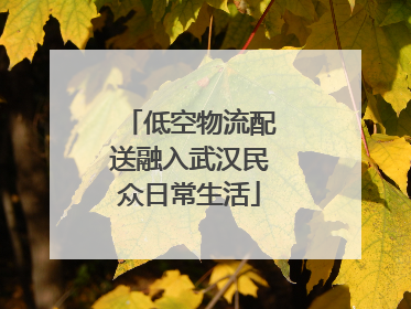 低空物流配送融入武汉民众日常生活