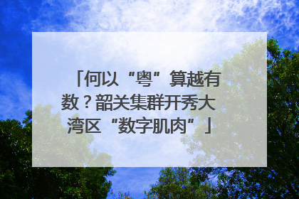 何以“粤”算越有数？韶关集群开秀大湾区“数字肌肉”