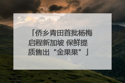 侨乡青田首批杨梅启程新加坡 保鲜提质售出“金果果”