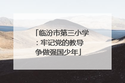 临汾市第三小学：牢记党的教导 争做强国少年