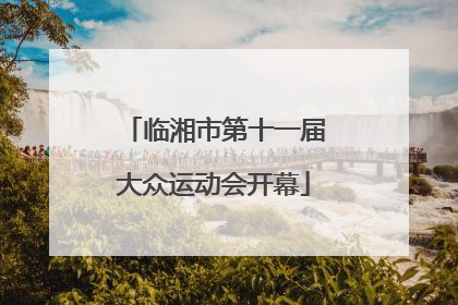 临湘市第十一届大众运动会开幕