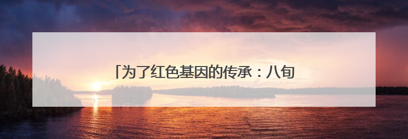 为了红色基因的传承：八旬“老讲解”义务讲解24年