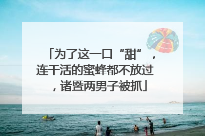 为了这一口“甜”，连干活的蜜蜂都不放过，诸暨两男子被抓