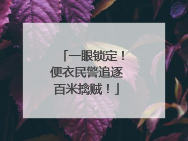 一眼锁定！便衣民警追逐百米擒贼！
