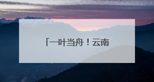 一叶当舟！云南这种神奇植物进入最佳观赏期