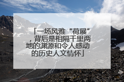 一场风雅“荷展”，背后是相隔千里两地的渊源和令人感动的历史人文情怀