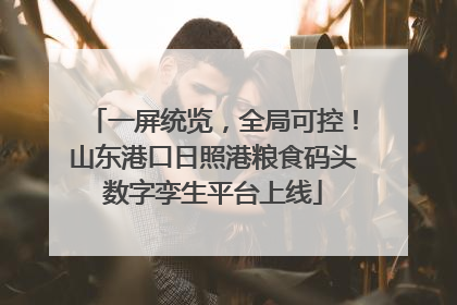 一屏统览，全局可控！山东港口日照港粮食码头数字孪生平台上线