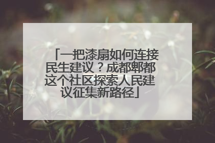 一把漆扇如何连接民生建议？成都郫都这个社区探索人民建议征集新路径