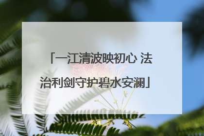 一江清波映初心 法治利剑守护碧水安澜
