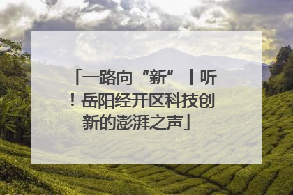 一路向“新”丨听！岳阳经开区科技创新的澎湃之声