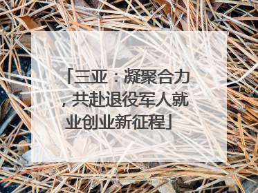 三亚：凝聚合力，共赴退役军人就业创业新征程