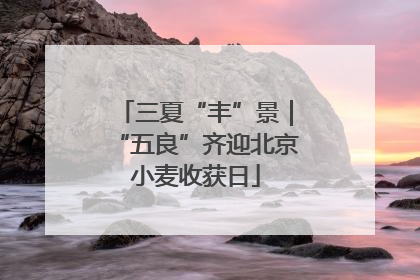 三夏“丰”景｜“五良”齐迎北京小麦收获日