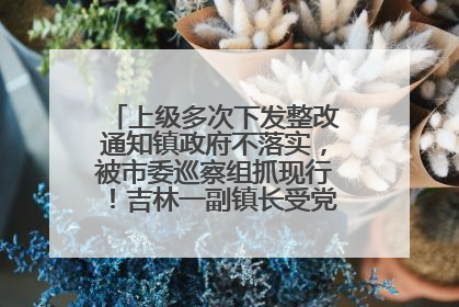 上级多次下发整改通知镇政府不落实，被市委巡察组抓现行！吉林一副镇长受党内警告处分