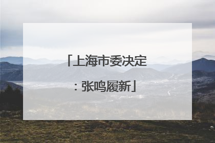 上海市委决定：张鸣履新