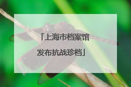 上海市档案馆发布抗战珍档