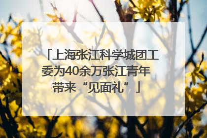 上海张江科学城团工委为40余万张江青年带来“见面礼”