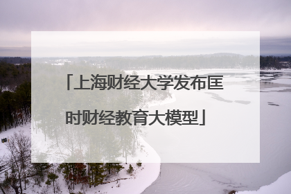 上海财经大学发布匡时财经教育大模型