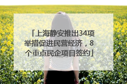 上海静安推出34项举措促进民营经济，8个重点民企项目签约