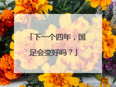 下一个四年，国足会变好吗？