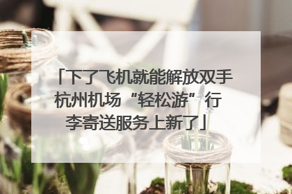 下了飞机就能解放双手 杭州机场“轻松游”行李寄送服务上新了