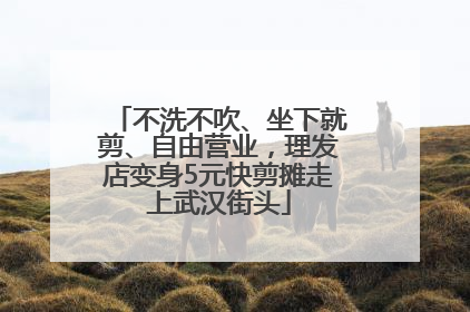 不洗不吹、坐下就剪、自由营业，理发店变身5元快剪摊走上武汉街头