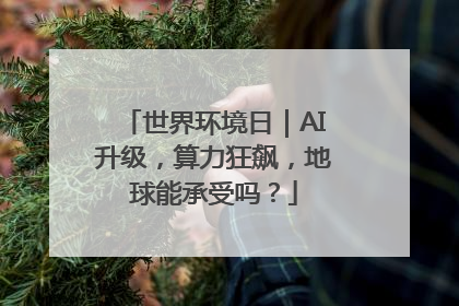 世界环境日｜AI升级，算力狂飙，地球能承受吗？