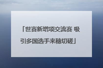 世赛新增项交流赛 吸引多国选手来穗切磋