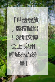 世遗绽放，版权赋能！深圳文博会上 泉州鲤城亮点纷呈