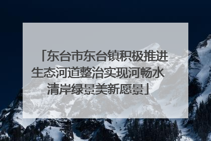东台市东台镇积极推进生态河道整治实现河畅水清岸绿景美新愿景
