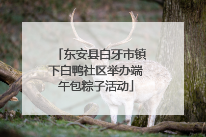 东安县白牙市镇下白鸭社区举办端午包粽子活动