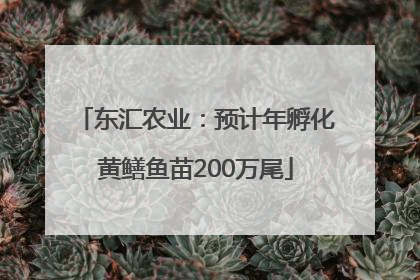 东汇农业：预计年孵化黄鳝鱼苗200万尾