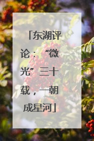 东湖评论：“微光”三十载，一朝成星河