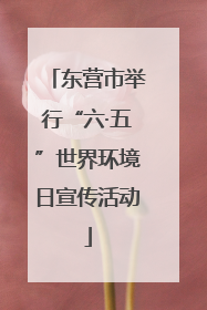 东营市举行“六·五”世界环境日宣传活动