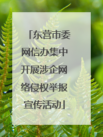 东营市委网信办集中开展涉企网络侵权举报宣传活动