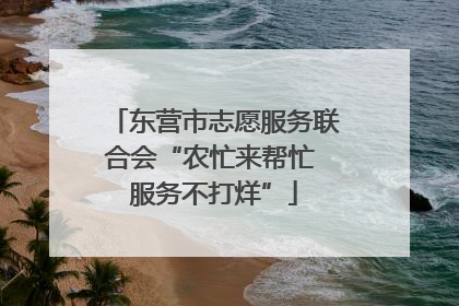 东营市志愿服务联合会“农忙来帮忙 服务不打烊”