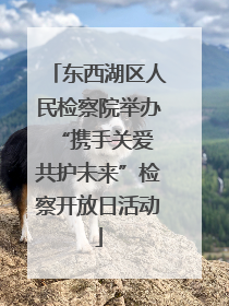 东西湖区人民检察院举办“携手关爱 共护未来”检察开放日活动