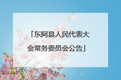 东阿县人民代表大会常务委员会公告