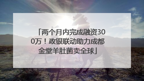 两个月内完成融资300万！政银联动助力成都金堂羊肚菌卖全球