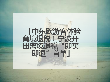 中东欧游客体验离境退税！宁波开出离境退税“即买即退”首单