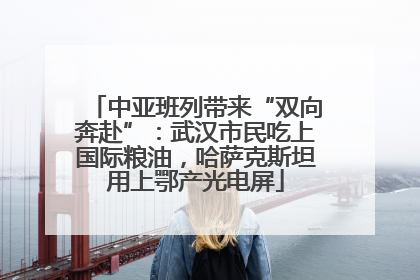 中亚班列带来“双向奔赴”：武汉市民吃上国际粮油，哈萨克斯坦用上鄂产光电屏