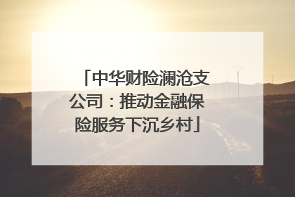 中华财险澜沧支公司：推动金融保险服务下沉乡村