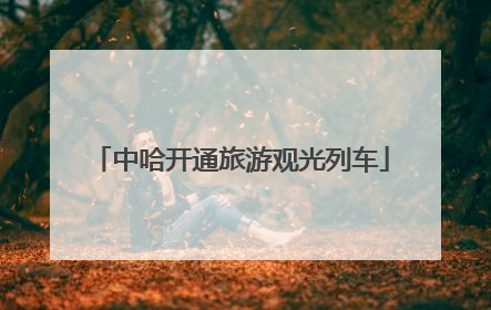 中哈开通旅游观光列车