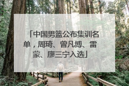 中国男篮公布集训名单，周琦、曾凡博、雷蒙、廖三宁入选