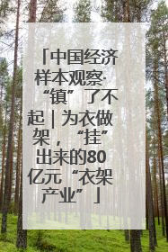 中国经济样本观察·“镇”了不起｜为衣做架，“挂”出来的80亿元“衣架产业”