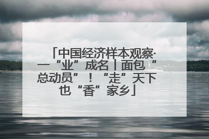 中国经济样本观察·一“业”成名丨面包“总动员”！“走”天下也“香”家乡