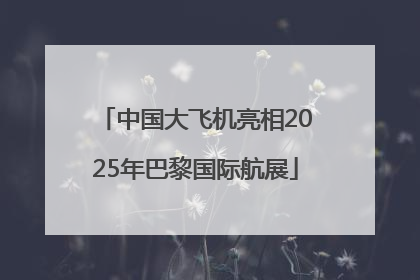 中国大飞机亮相2025年巴黎国际航展