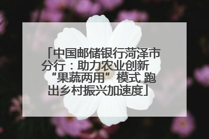 中国邮储银行菏泽市分行：助力农业创新 “果蔬两用”模式 跑出乡村振兴加速度