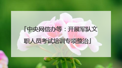 中央网信办等：开展军队文职人员考试培训专项整治