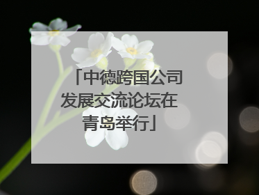 中德跨国公司发展交流论坛在青岛举行
