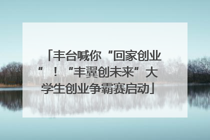 丰台喊你“回家创业”！“丰翼创未来”大学生创业争霸赛启动